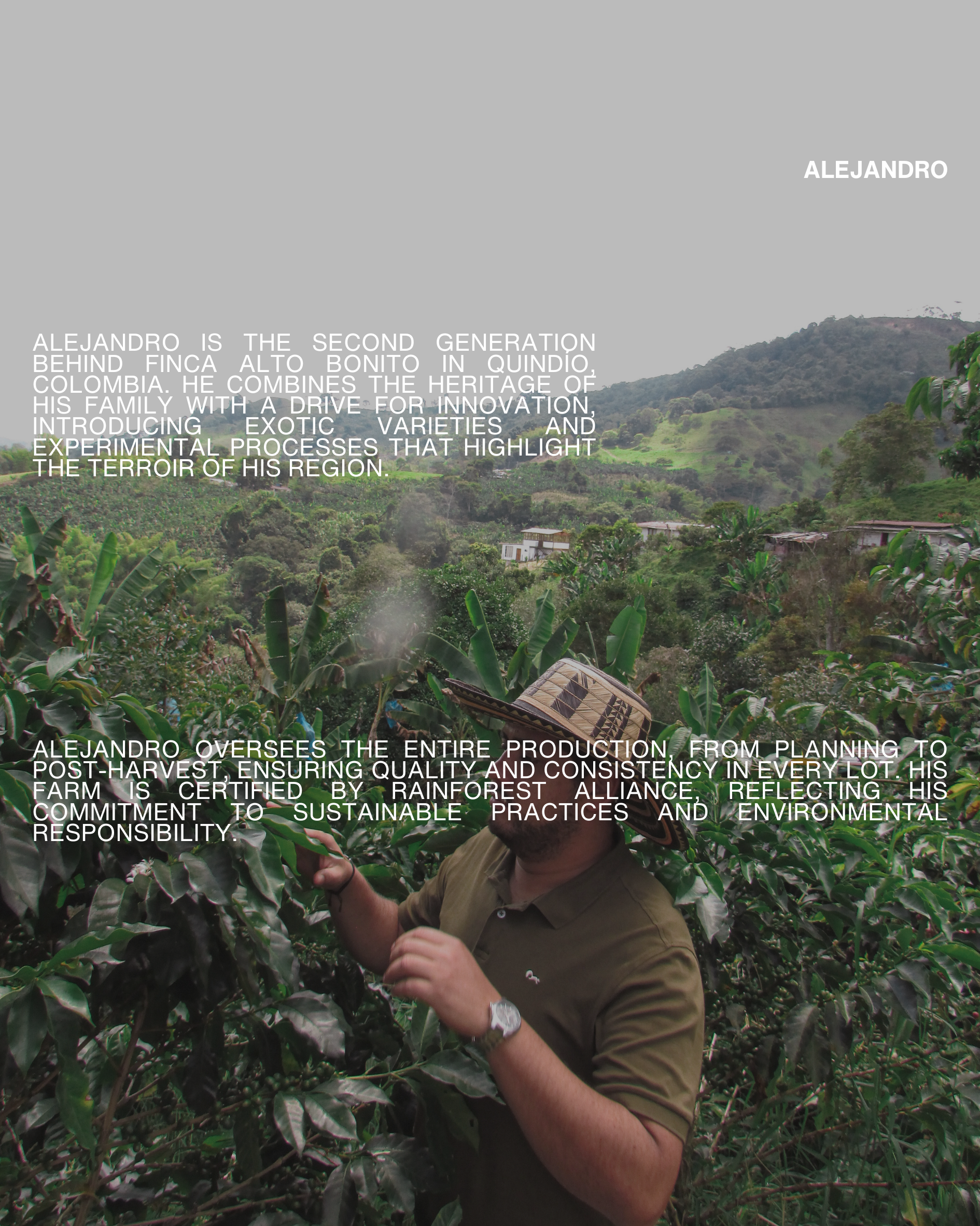 Alejo en Finca Alto Bonito, proyecto agroforestal en Quindío