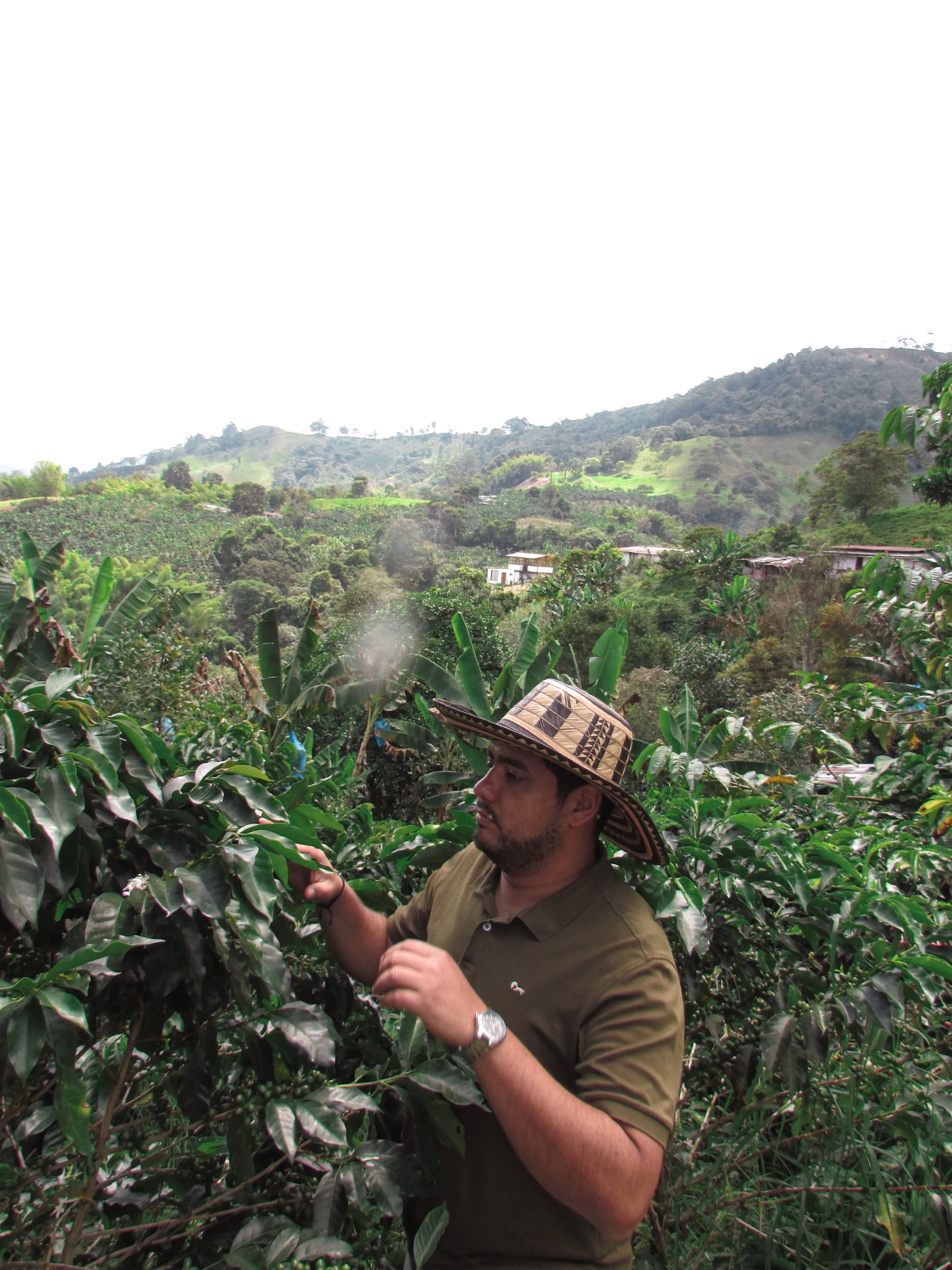 Alejo Marín en Quindío, Colombia