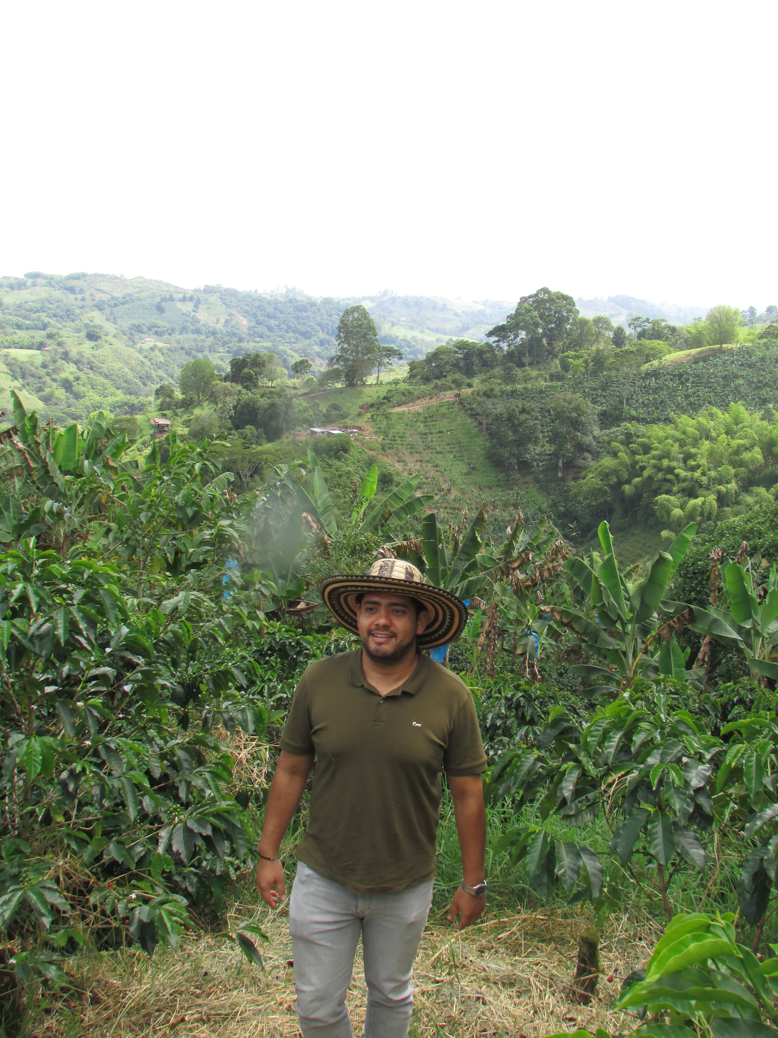 Alejo en Finca Alto Bonito, Quindío