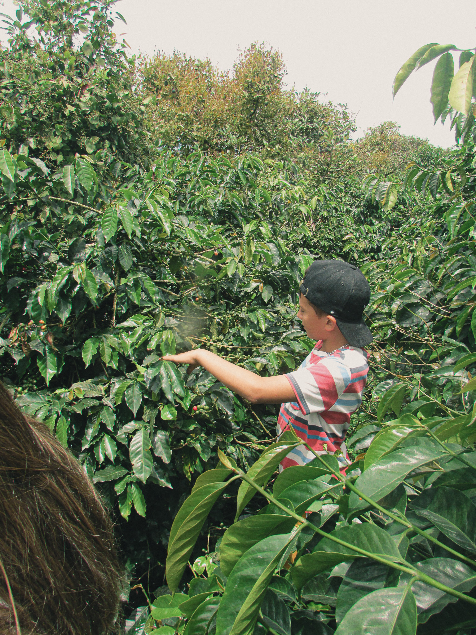 Camila en Finca San Fernando, Risaralda